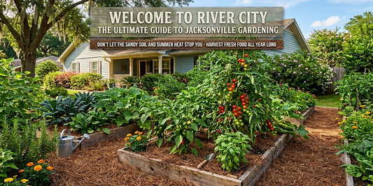 A Guide to Gardening in River City JAX, FL